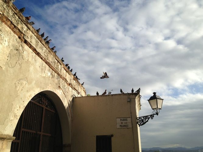 image5