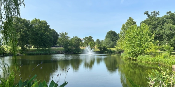 Calm pond with a water fountain surrounded by green trees.