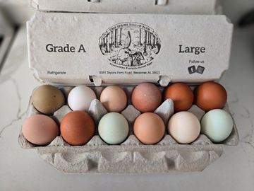 A carton of Grade A large eggs in various natural colors.