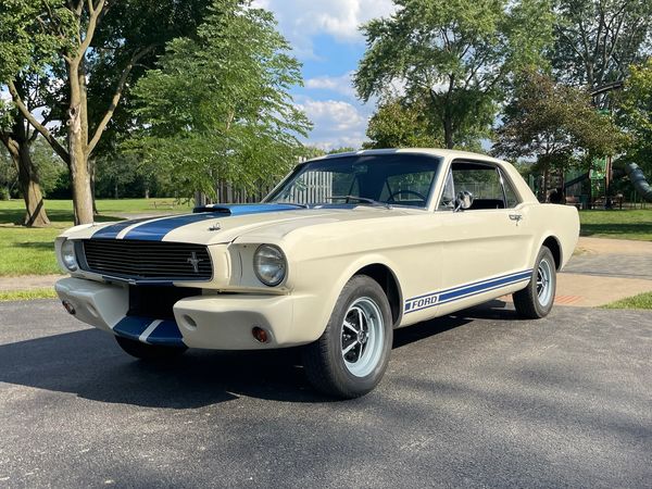 1966 Mustang