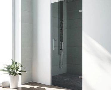 Glass Shower Door