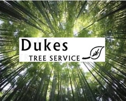 Duke's Tree Service