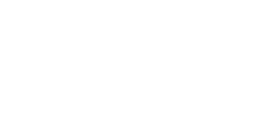 Pivotal Practices Consulting LLC