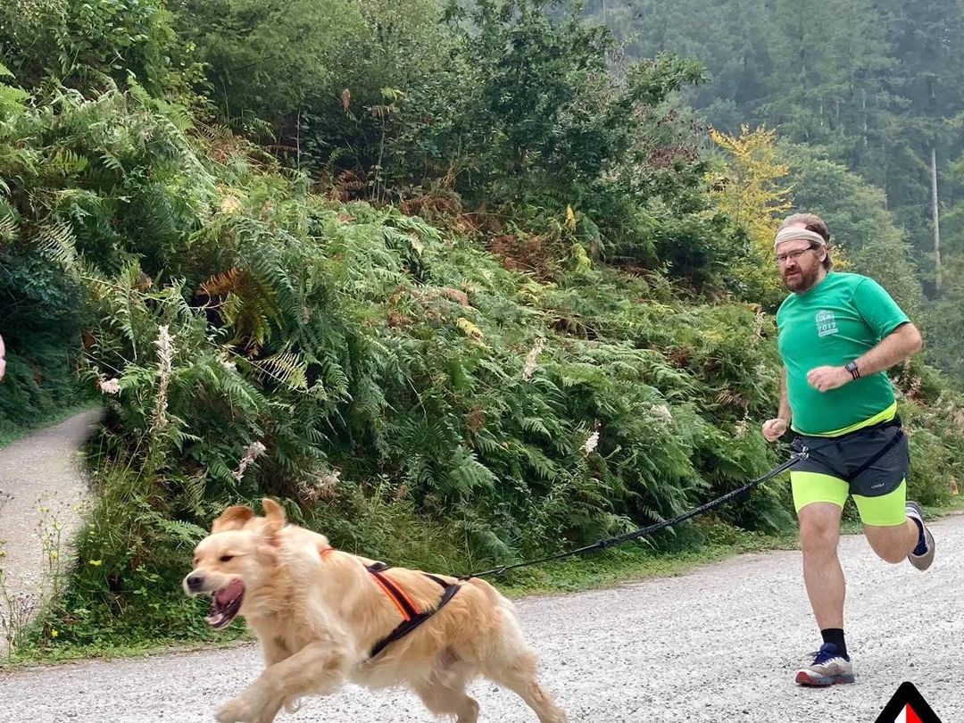 man running with a dog in a sledwork harness