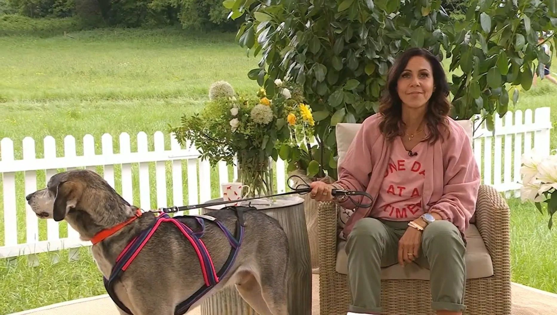 julia bradbury on itv with a canicross dog wearing a goodwoof sledwork harness