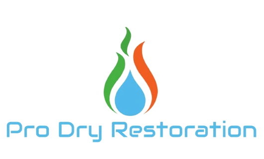 Pro Dry Restoration