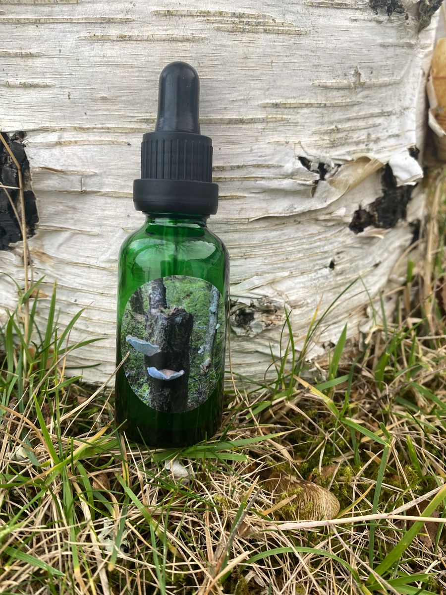 Birch Polypore Tincture 30ml Organic and Double Extracted