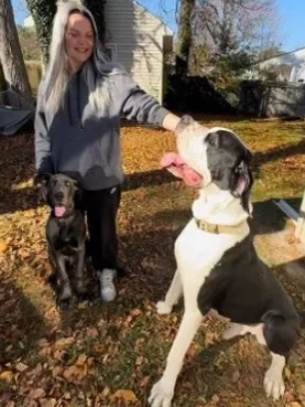 Young woman petting two dogs outdoors on a sunny autumn day.