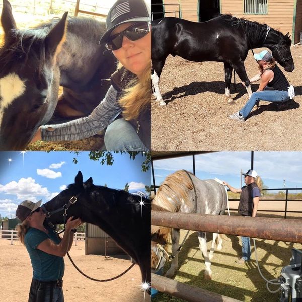 Equine massage and bodywork