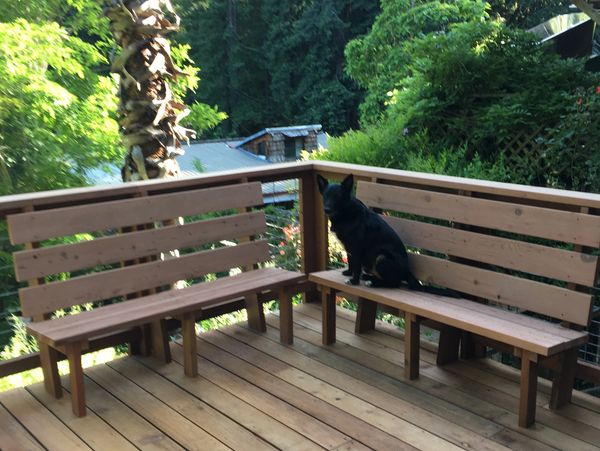 custom deck with benches, old growth redwood, Pippo dog
