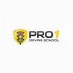 Pro 1 Driving School Inc