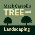 Mack Carroll's Tree and landscaping