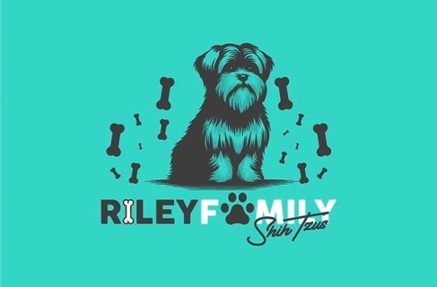 Riley Family Shih Tzus