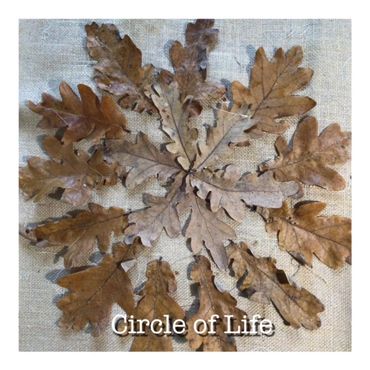 Oak Tree