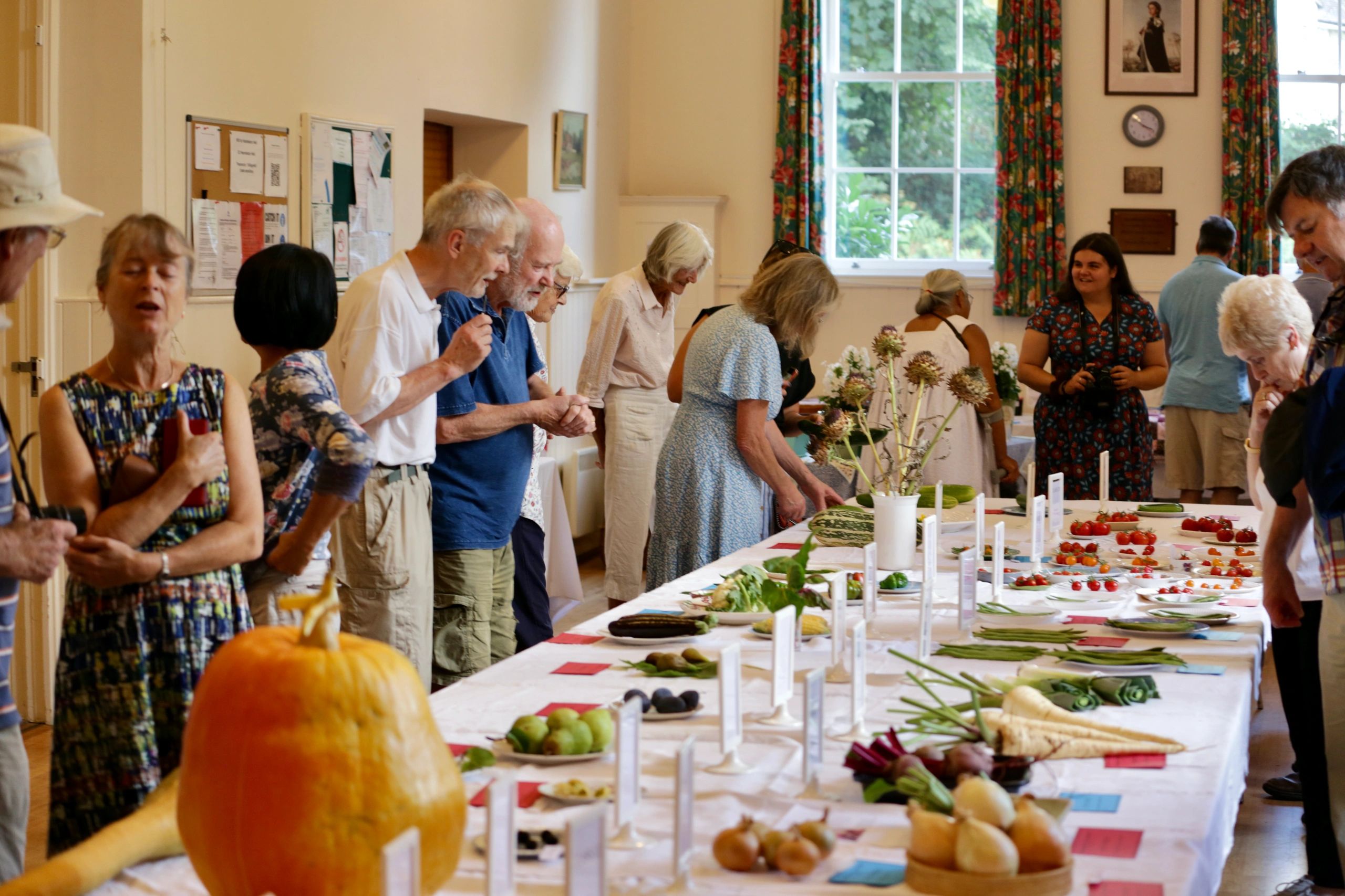 (c) Hambledonvillageshow.co.uk