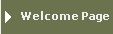 Welcome Page