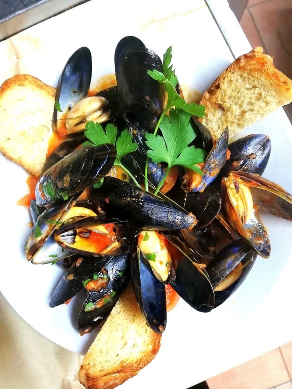 Mussels in tomato sauce