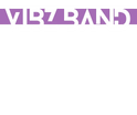 ViBz Band