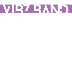 ViBz Band
