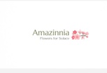 Amazinnia