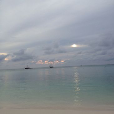 Beautiful image from  Dana and Dave's wedding in Aruba.