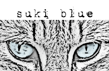 SukiBlue Jewelry
