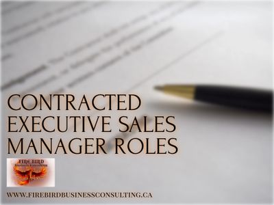 Contract Sales Management Services Firebird Business consulting Saskatoon Regina Sask Canada