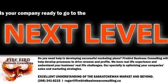 Next Level Business Solutions - Firebird Business Consulting - Business Consultant - Saskatoon