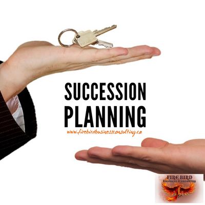 Succession Planning - Succession - Firebird Business Consulting Ltd - Saskatoon - Saskatchewan