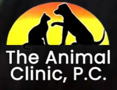 Alabama: Find an OFA evaluator with French Bulldog Foundation of America (FBDFA).