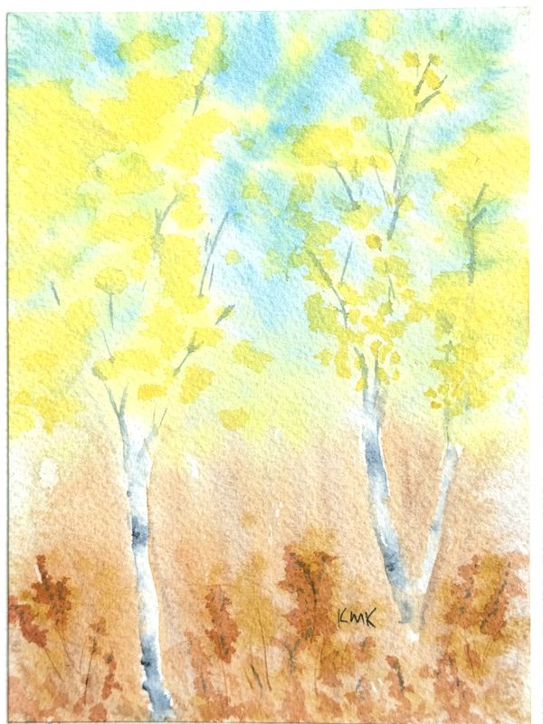 Aspen trees in autumn