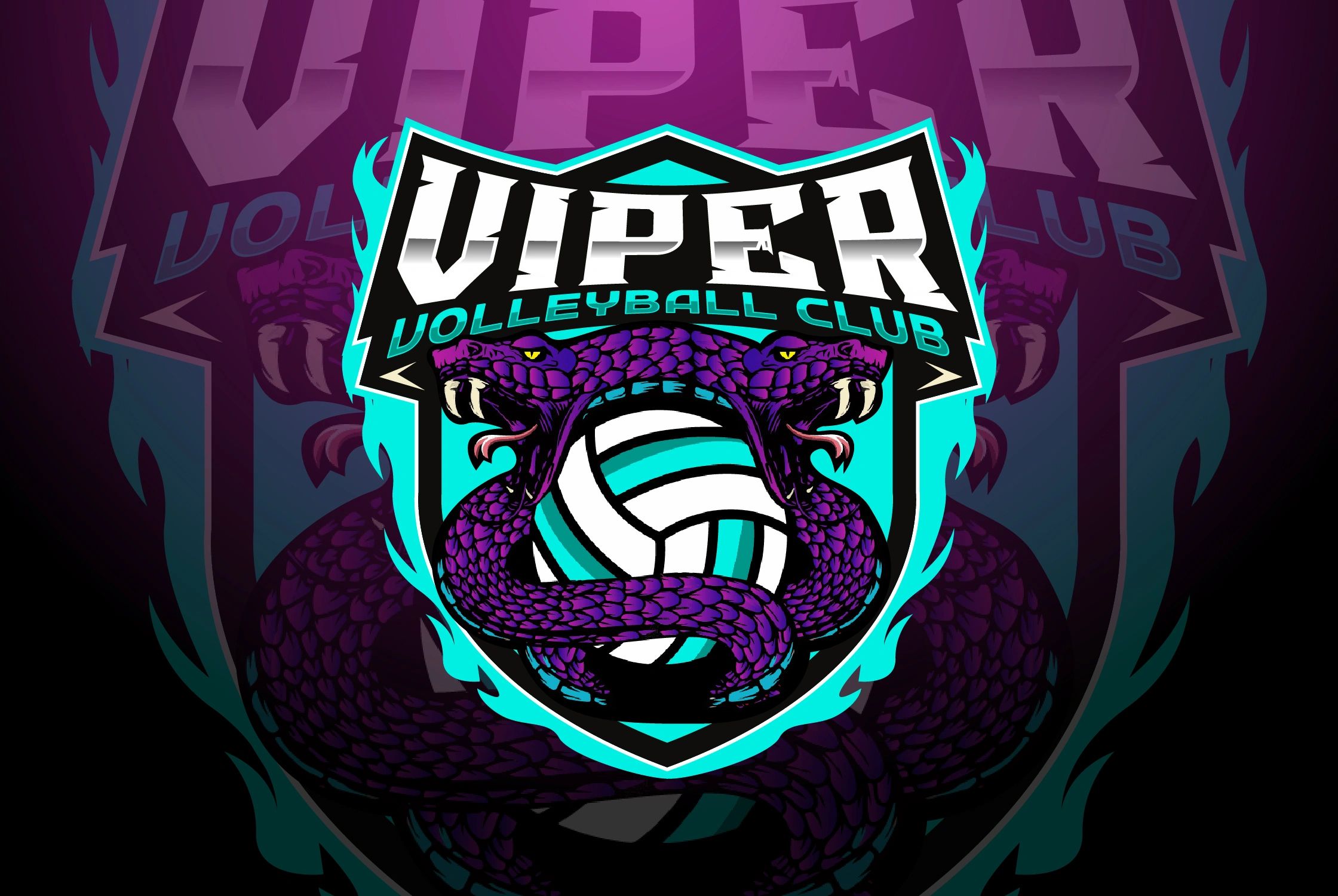 Viper Volleyball