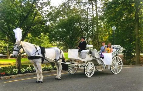 Our traditional open vis a vis carriage  