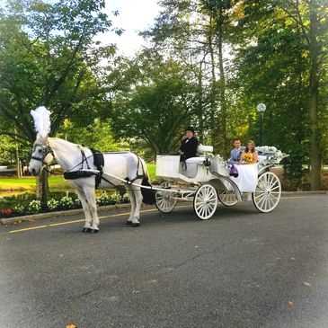 Horse Drawn Carriage Rides MA / Wedding Carriages / Wagon Rides