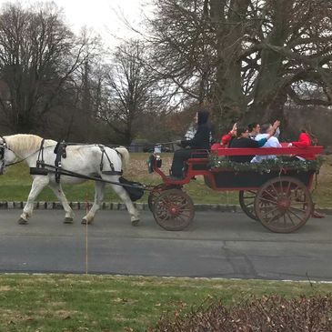 Horse drawn wagon for rides during the holiday season