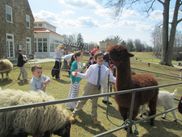 Traveling Petting Zoo With Farm Animals And Ponies For Special Events In New Jersey