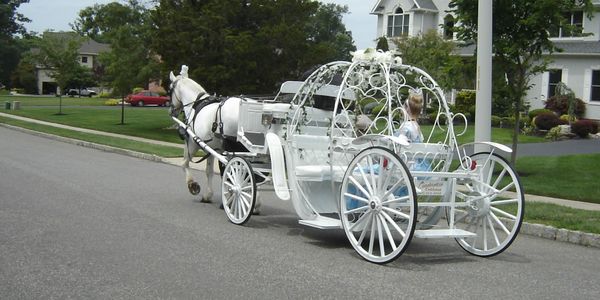 Cinderella Carriage with a Princess passenger pulling up to  a home for a Princess Party 