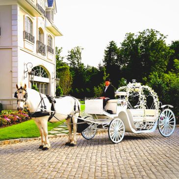 White horse pulling elegant carriage near mansion.