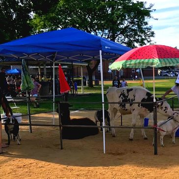 traveling petting zoo nj