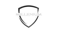 THE MILLENIUM CORP