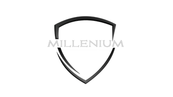 THE MILLENIUM CORP