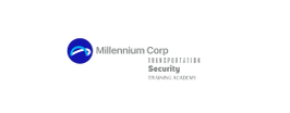 THE MILLENNIUM CORP