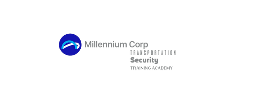 THE MILLENNIUM CORP