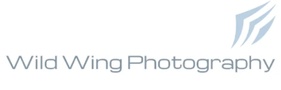 Wild Wing Photo