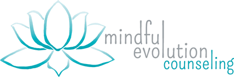Mindful Evolution Counseling
