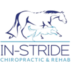 In-Stride Chiropractic & Rehab