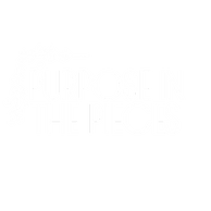Purpose in the Pieces