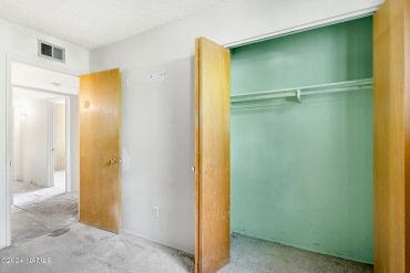 Empty closet with green walls and wooden doors.