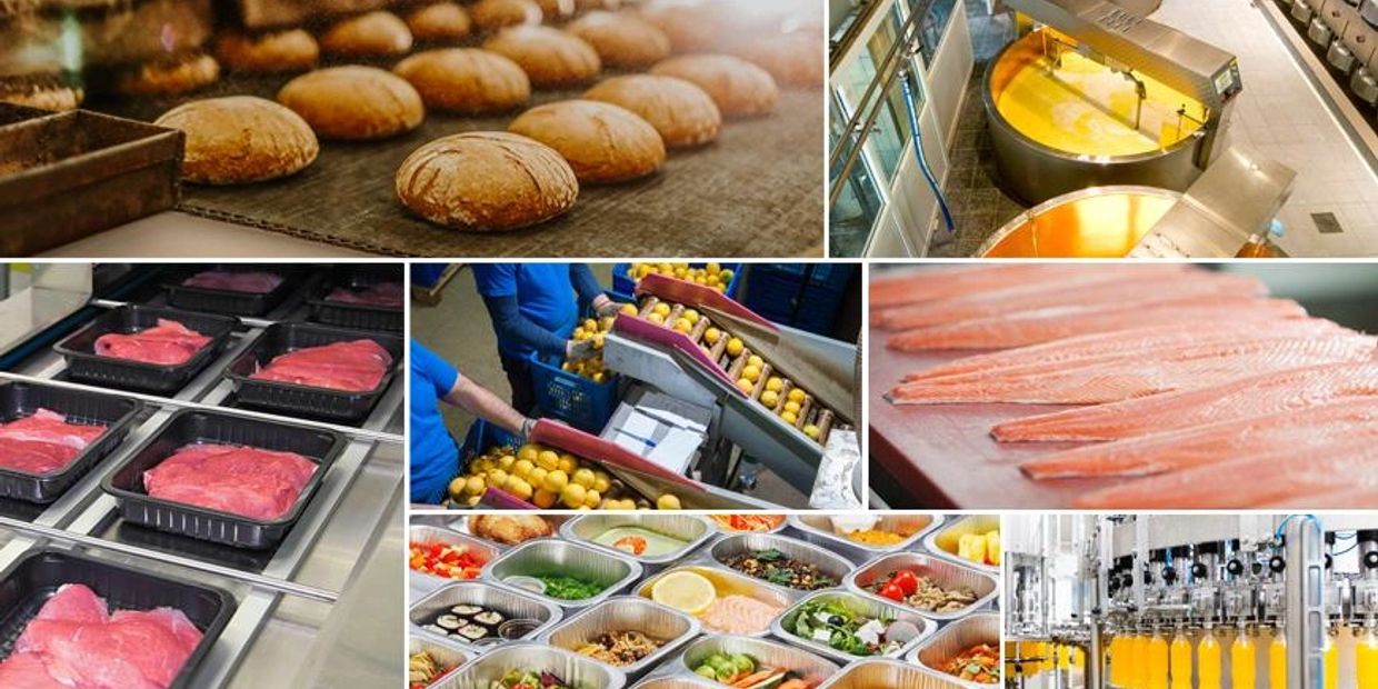 FDI into Food Processing Industry - FDI Manager