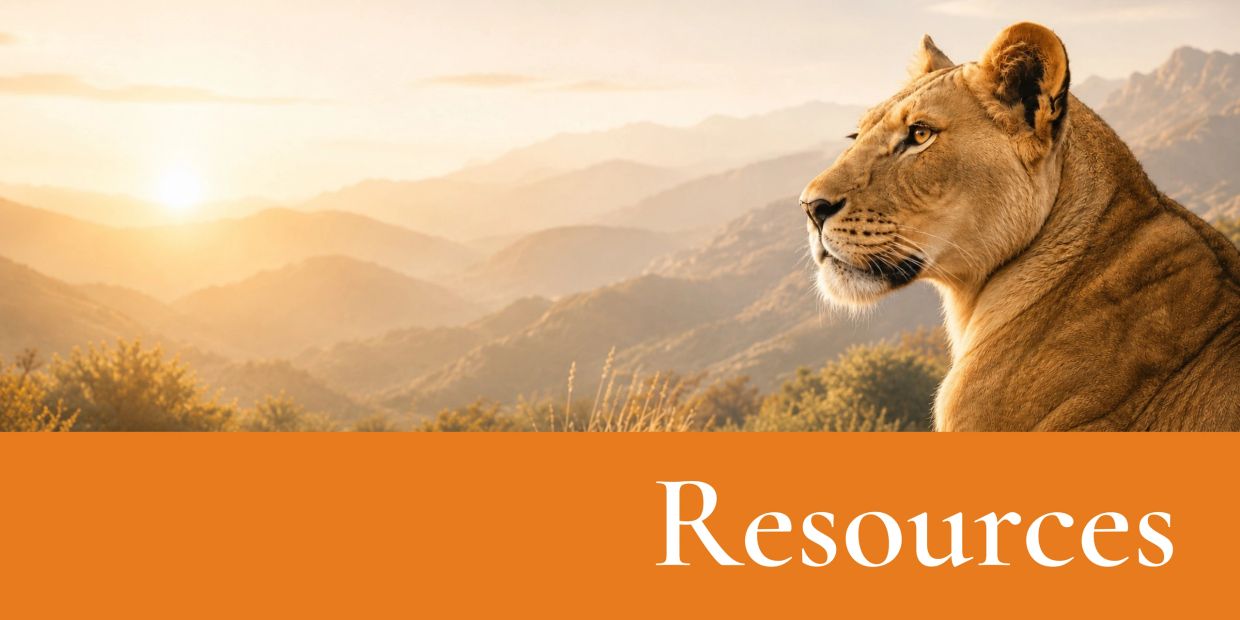 Lioness looking at a sunset with "Resources" text.